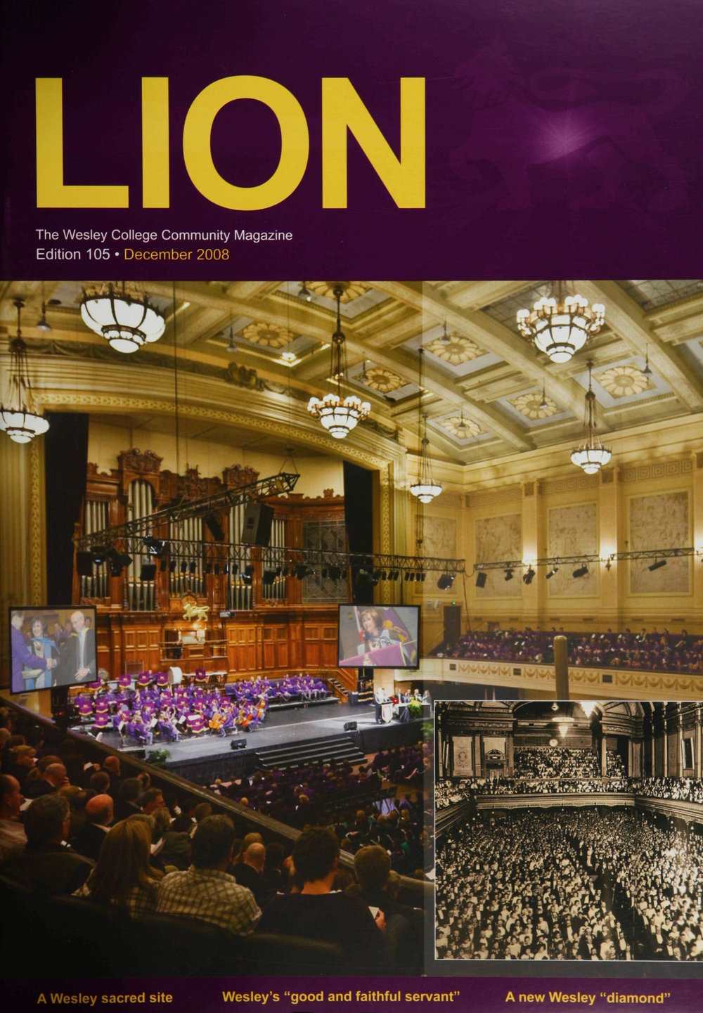 The Lion - December 2008