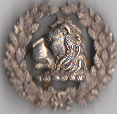 Athletics Colours Badge - J.Gellie