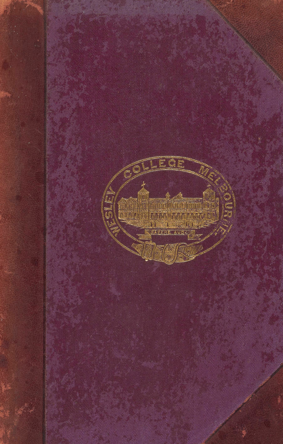 Letters and Songs of an Airman