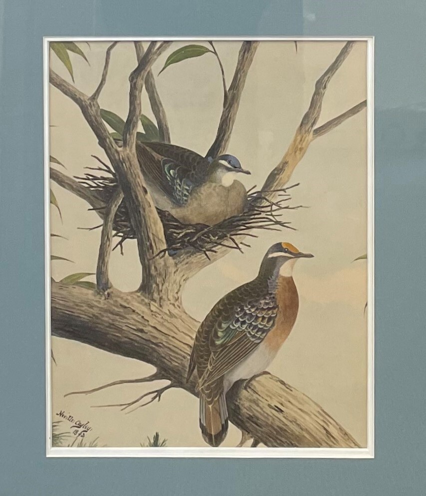 Two Partridges