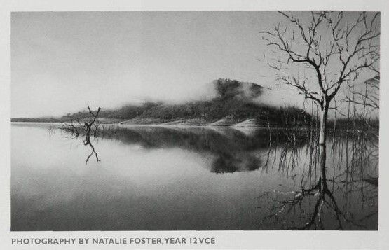 2002 Foster, Natalie, Flooded Landscape