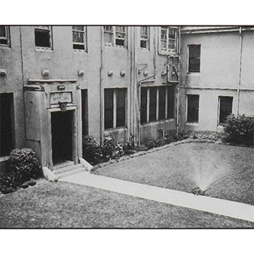 NYE Quadrangle
