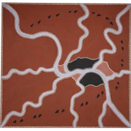 Walking Goongoolooloo Country c. 2008