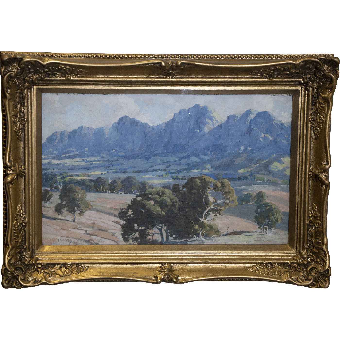 Valley Landscape