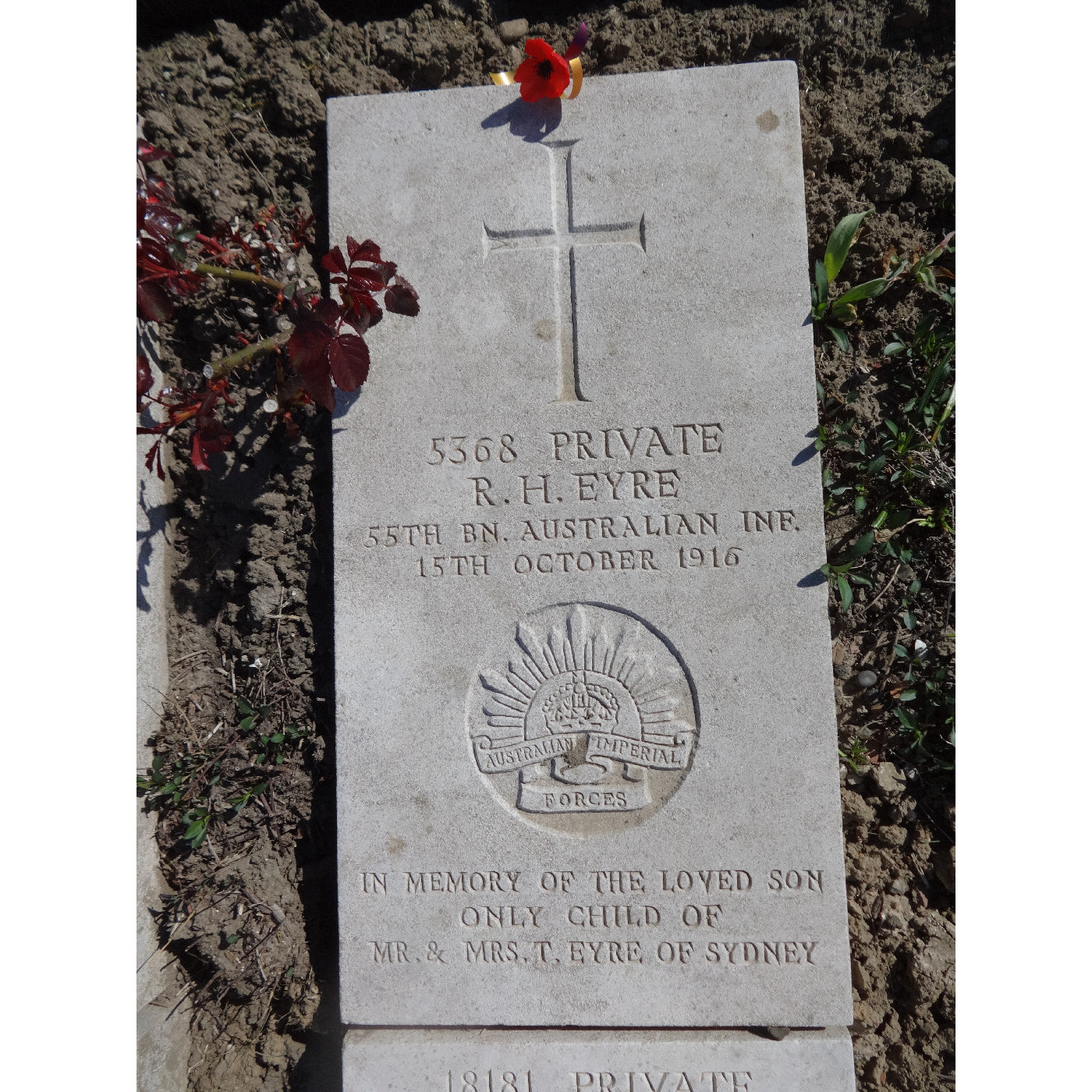 Eyre, Reginald Henry OW(1909)