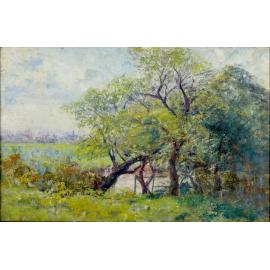Landscape With Trees