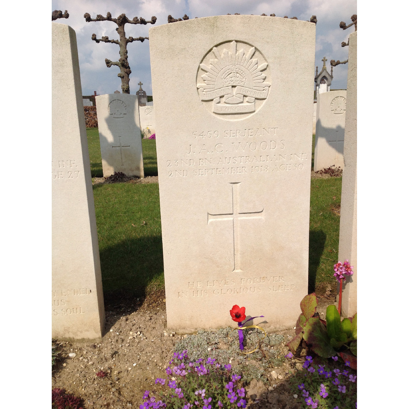 Woods, John Arthur Cleveland OW(1902)