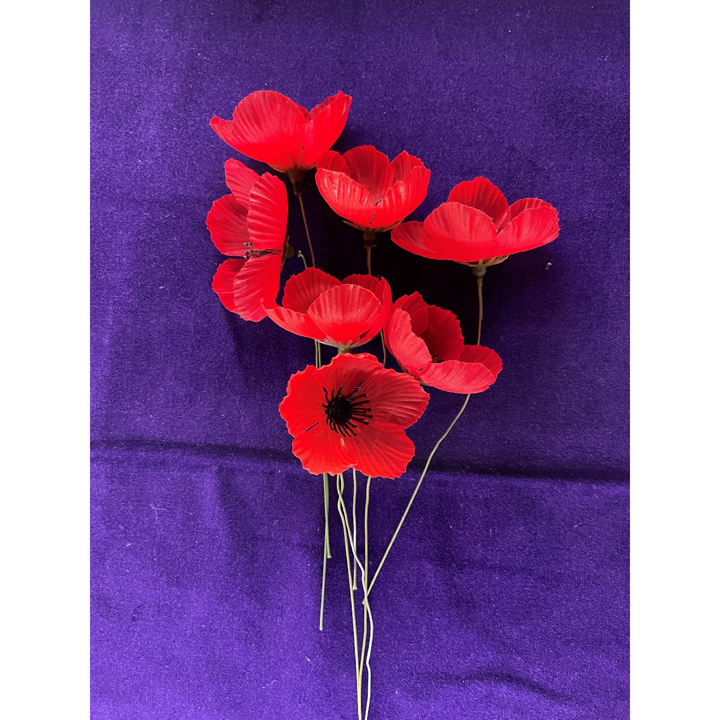 Horsfall, Lloyd George OW(1929)