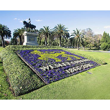 Wesley College historical timeline