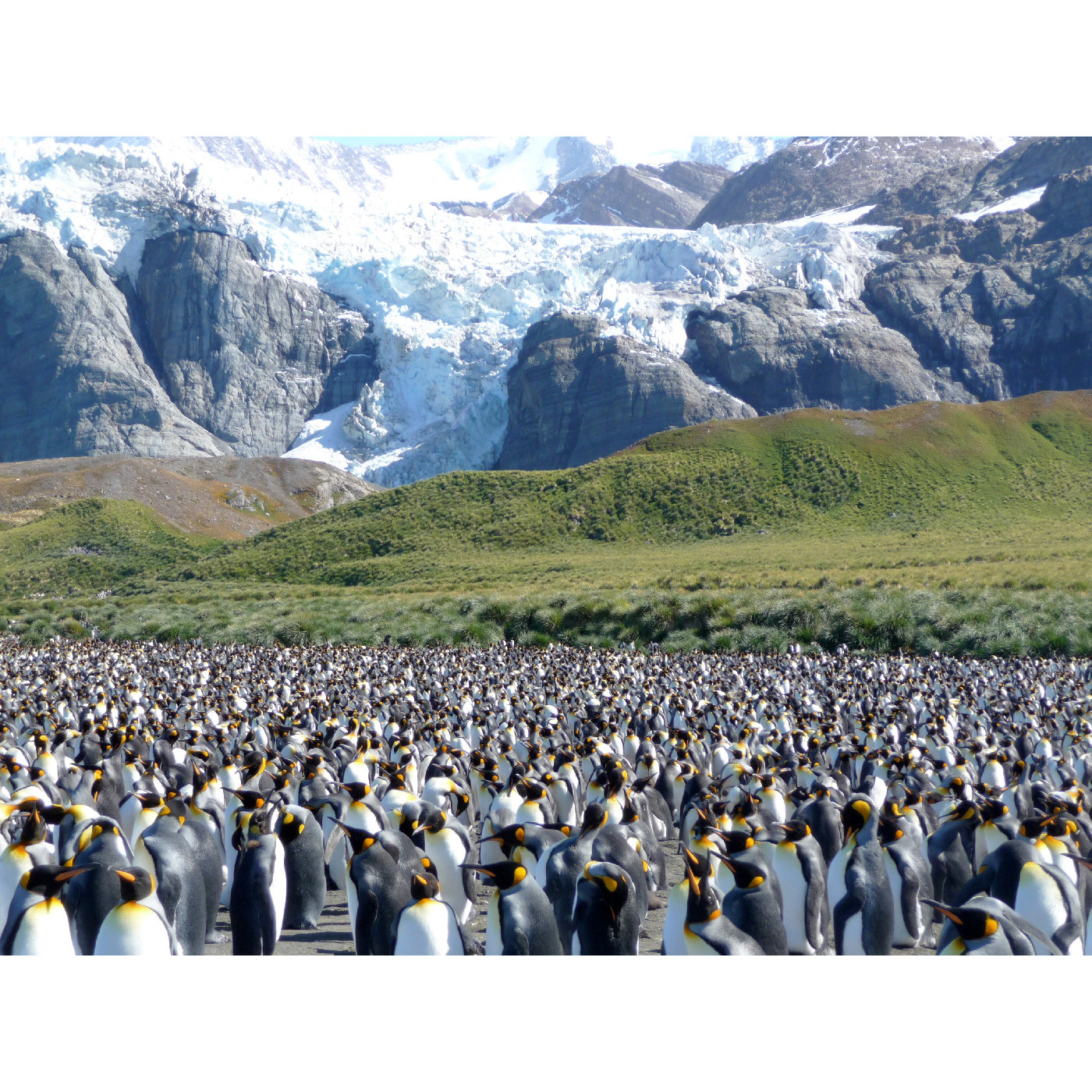 Summers, Robert Olverston OW1935