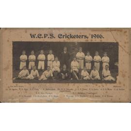 Cricket WCPS 1916