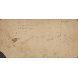 Football WCPS 1919 Champions back