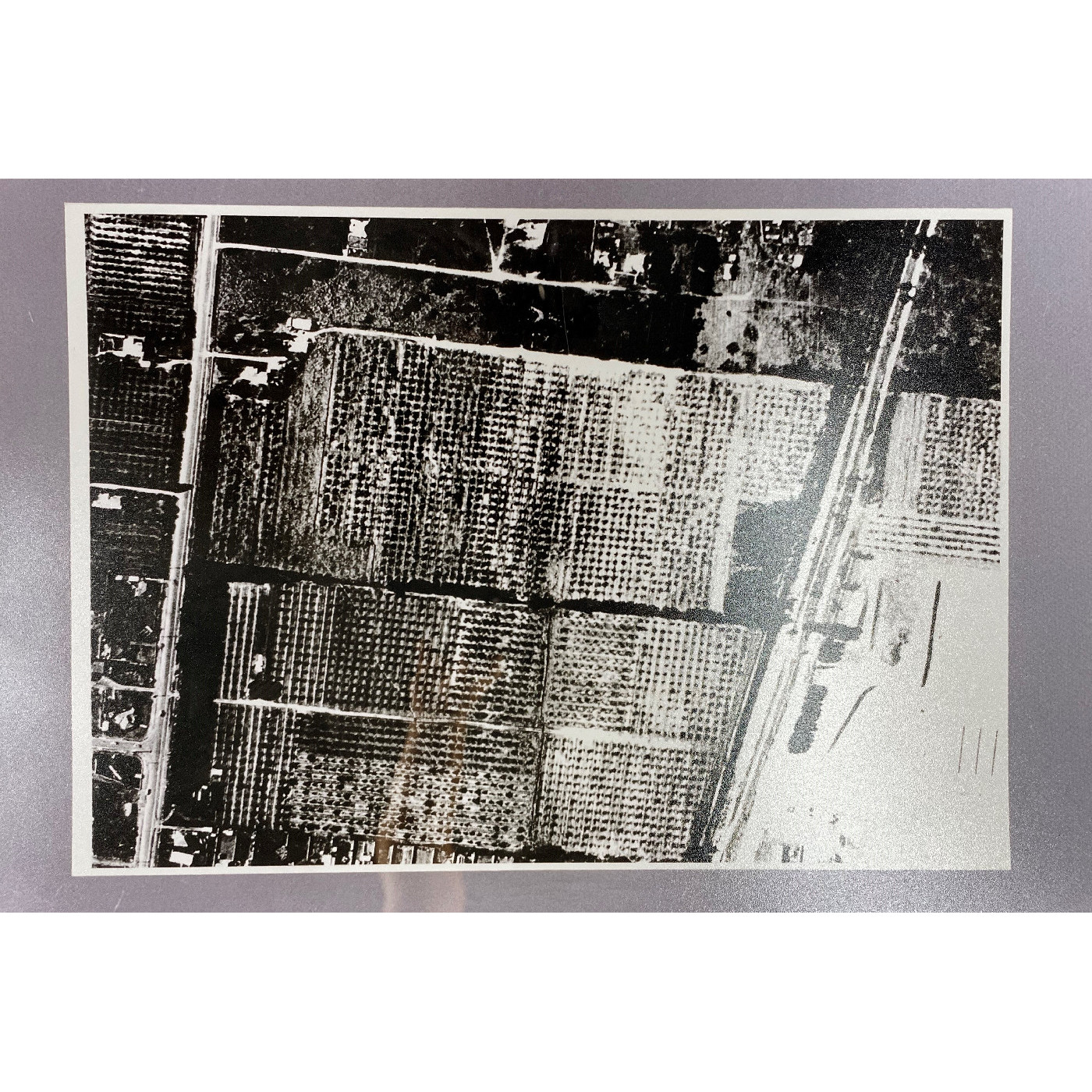 Glen Waverley as an orchard