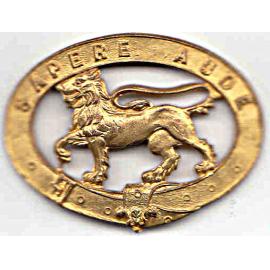 Lion Cap Badge