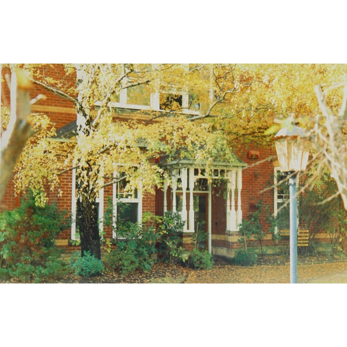 MLC, Cato College