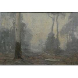 Gums In Morning Light