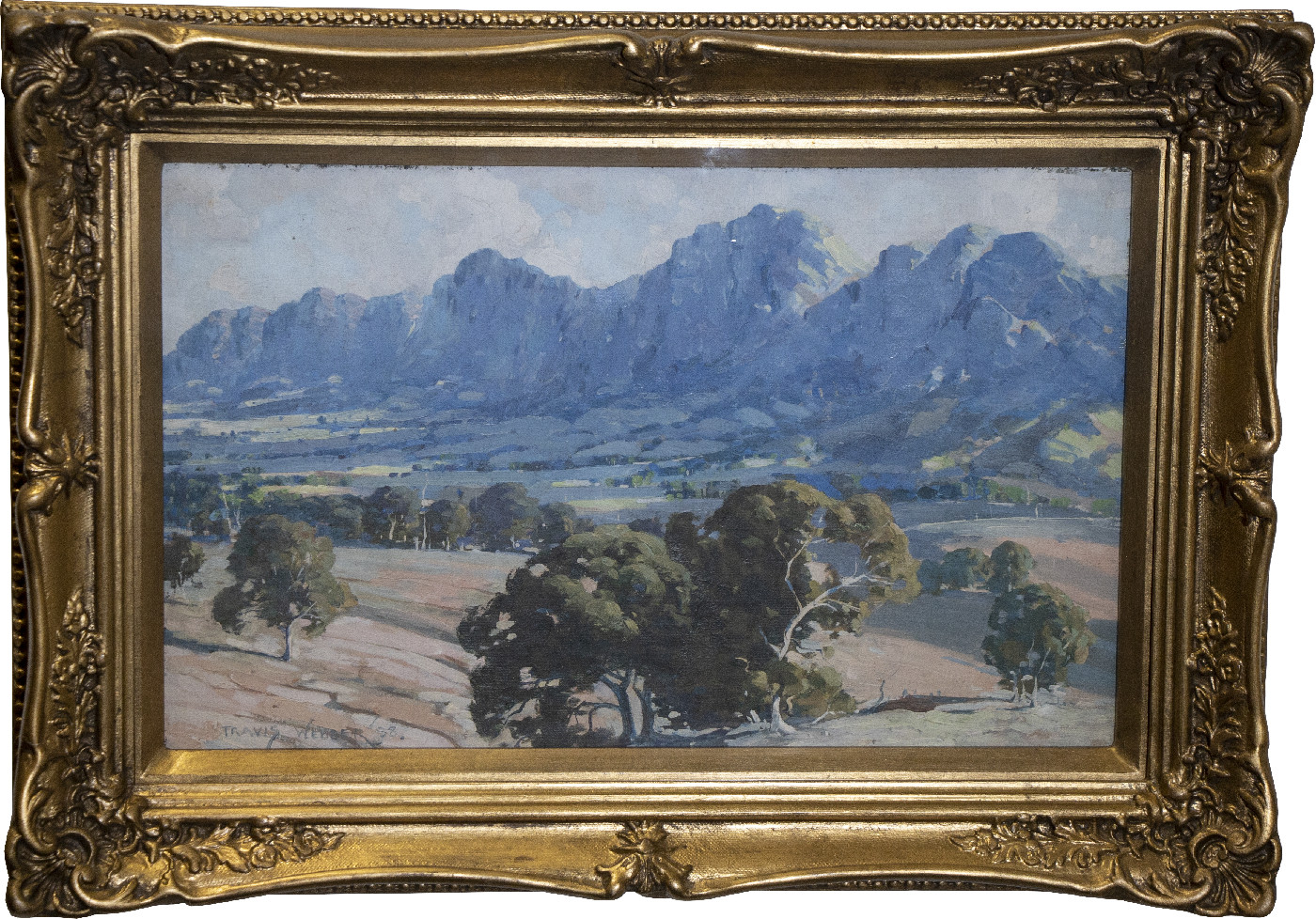Valley Landscape