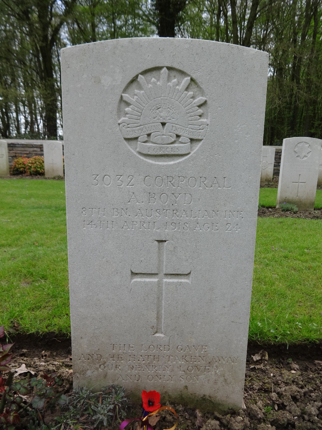 Boyd, Andrew  OW(1908)