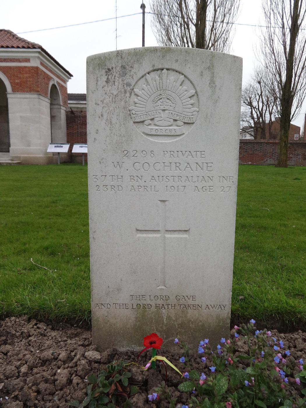 Cochrane, William  OW(1906)