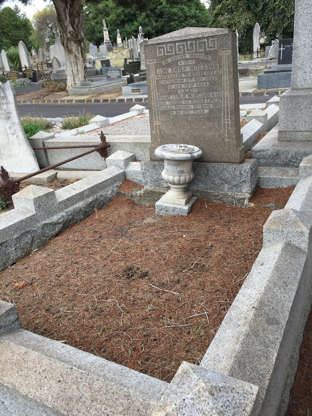 Morgans, Frank Leslie OW(1909)