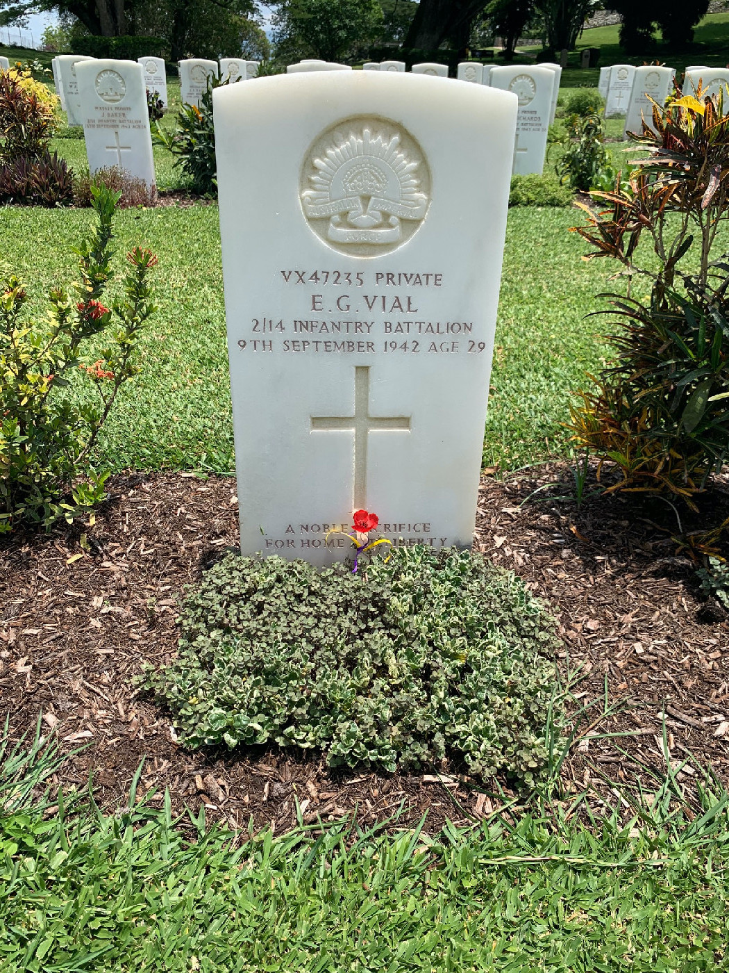 Vial, Eric Grose OW(1928)