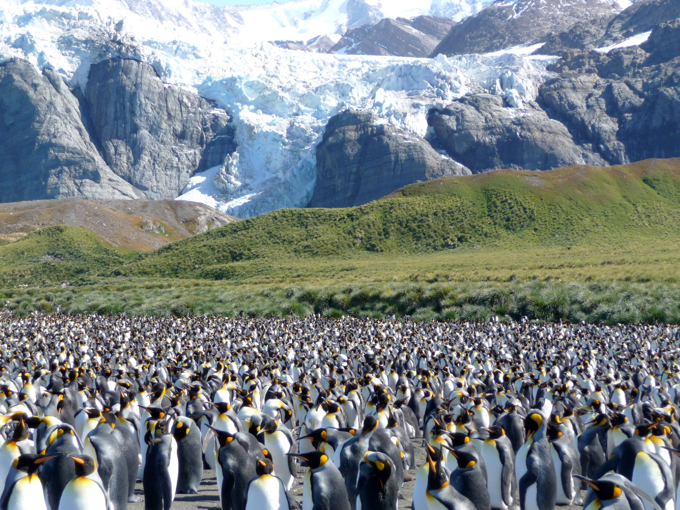 Summers, Robert Olverston OW1935