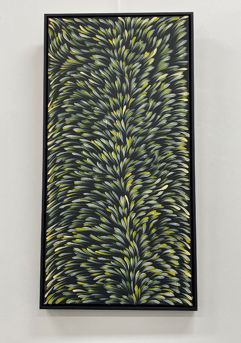 Bush Medicine Leaves