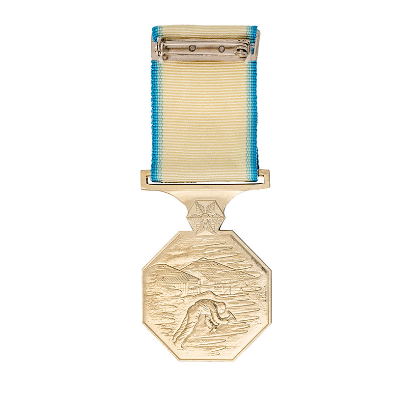 Australian Antarctic medal reverse side