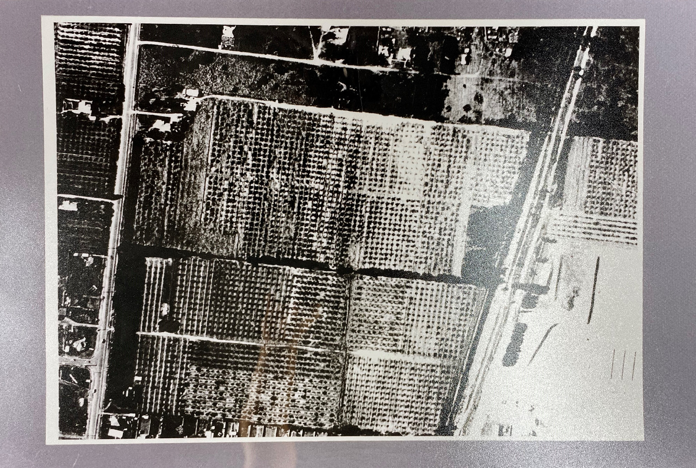 Glen Waverley as an orchard